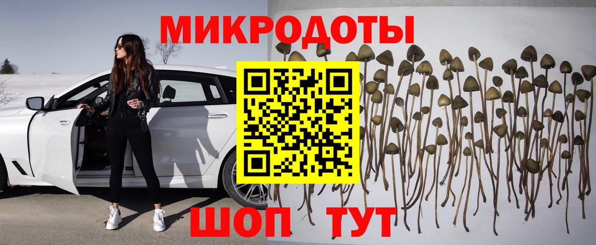 Галлюциногенные грибы GOLDEN TEACHER Ейск