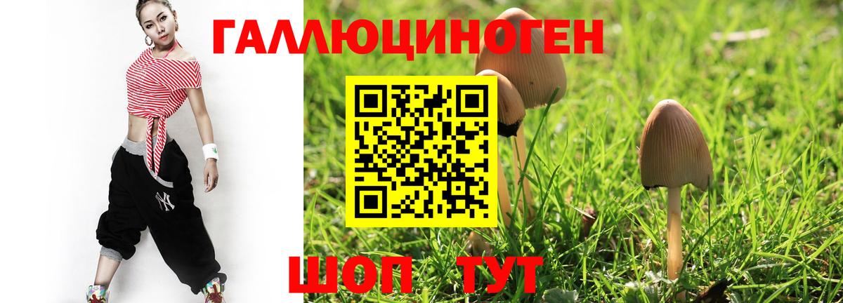 Ейск  Галлюциногенные грибы Magic Shrooms  Вход с VPN 